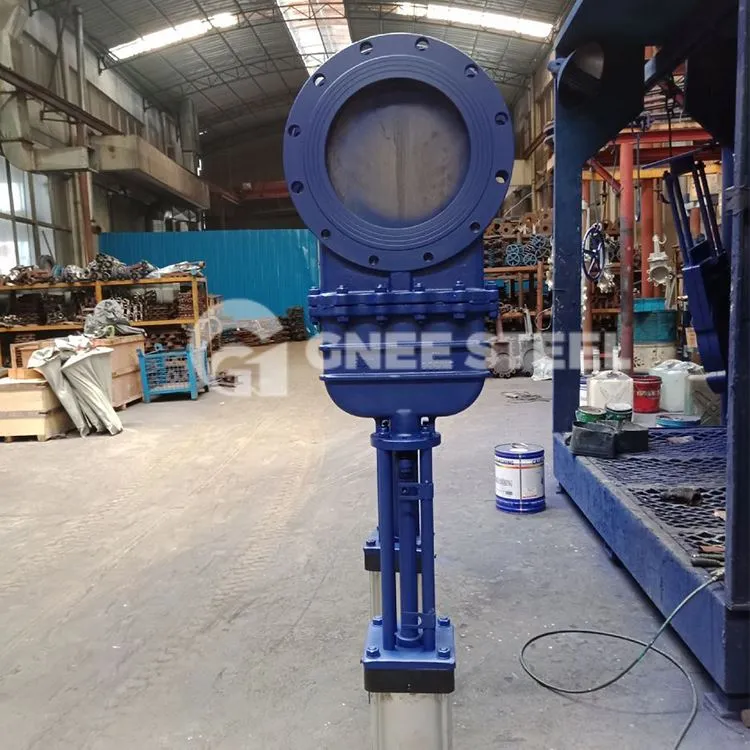 Reguleeritav noaga väravaklapp