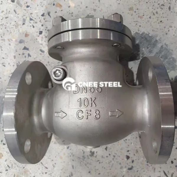 Süsinikteras ANSI 300 Swing Check klapp