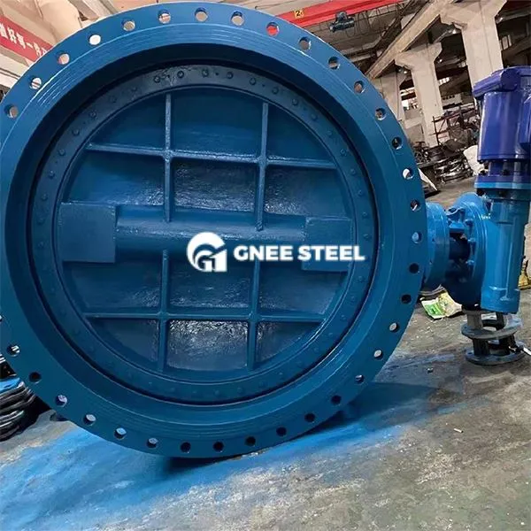 Kõrvaline raudne topelt ääristatud liblikaklapp