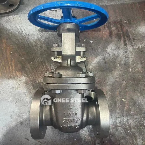 Duplex roostevabast terasest väravaklapp