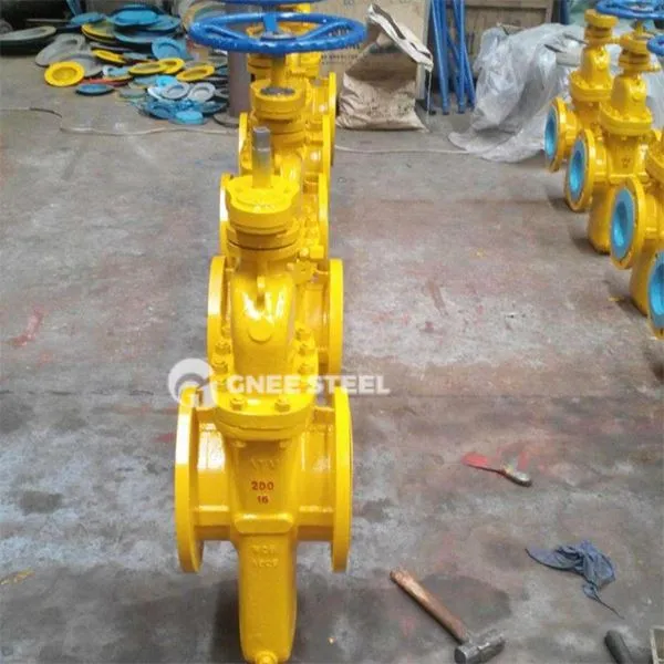 Maagaasi väravaklapp