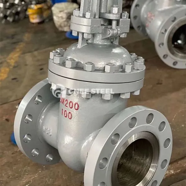 Kõrgsurvevärava klapp