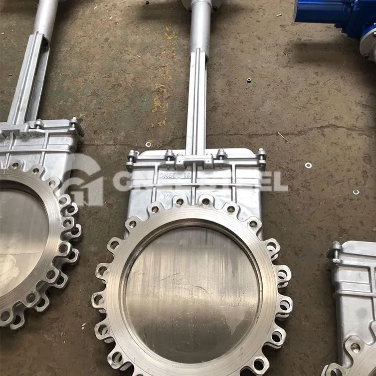 Nuga tüüpi noa väravaklapp