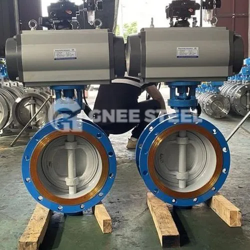 Mootoriga liblikklapp