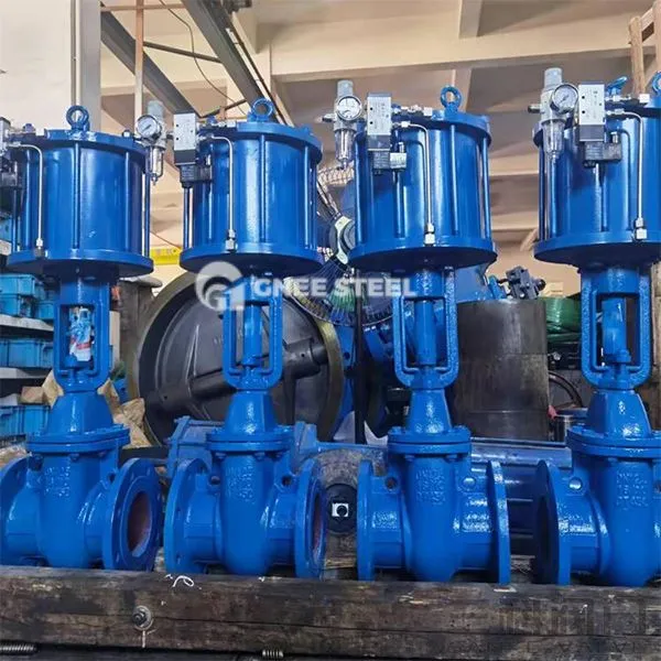 Pneumaatiline kiiluvärava ventiilid