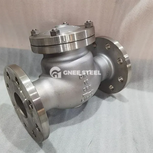 Roostevabast terasest krüogeensed kontrollventiilid